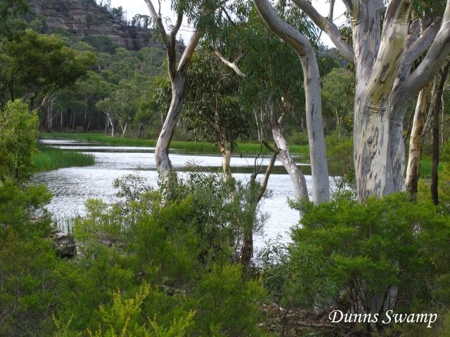 Dunns Swamp Dunns Swamp